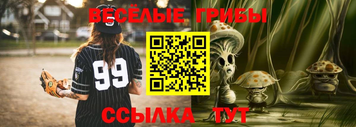 Каменка  Псилоцибиновые грибы Magic Shrooms  Вход с VPN 